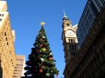 Christmas Martin Place.jpg